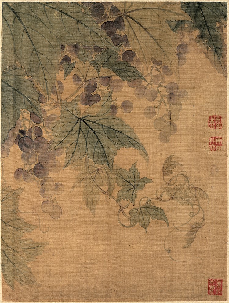 清 恽寿平 花卉图册3葡萄 高清图下载