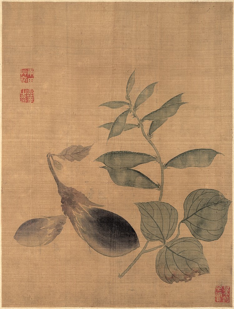 清 恽寿平 花卉图册4茄子 高清图下载