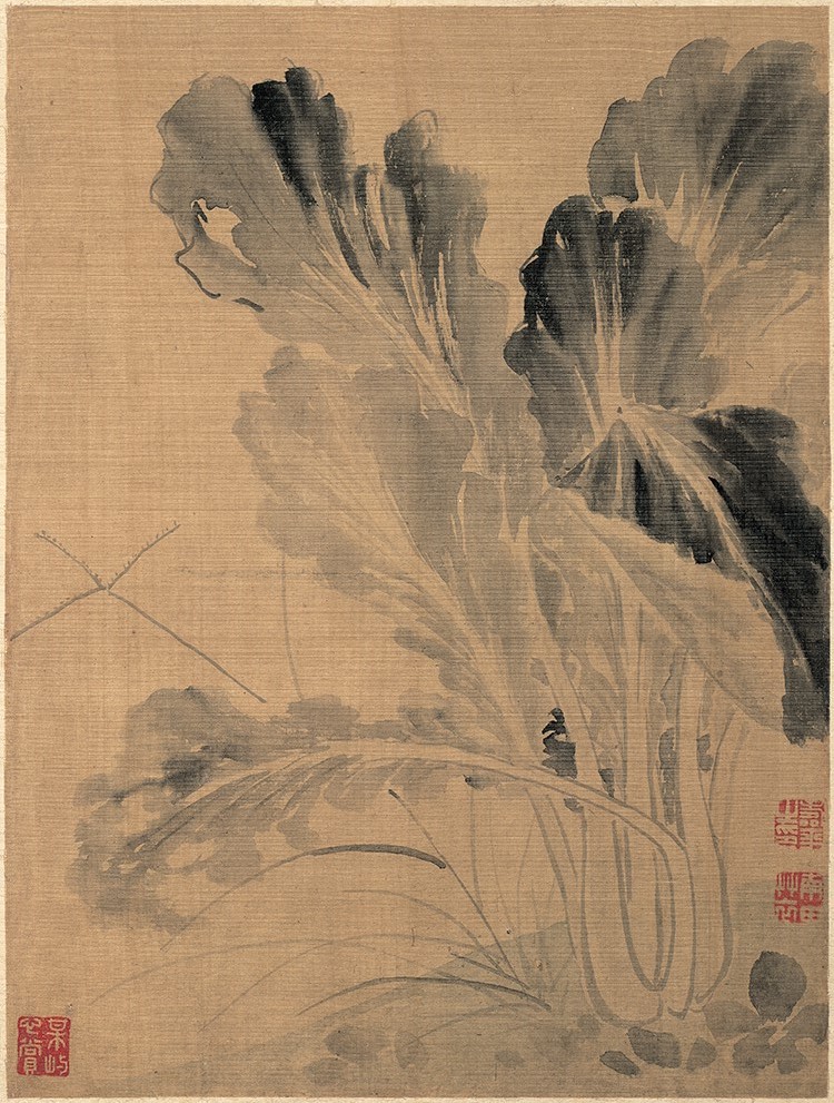 清 恽寿平 花卉图册5白菜 高清图下载