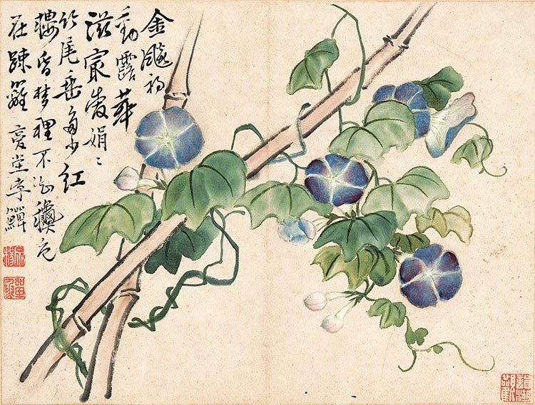 清 李禅李鱓 花鸟十开-7牵牛花