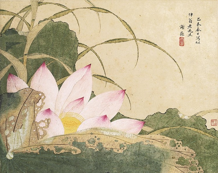 清 谢荪 荷花图 高清图免费下载