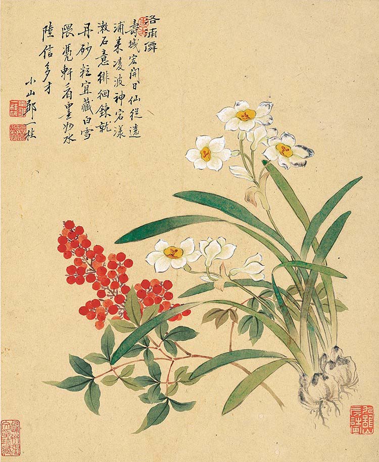 清 邹一桂-花卉八开-8天竺水仙 高清图下载