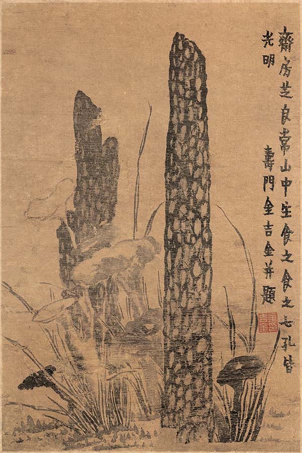 清 金农-书画图册-1 灵芝 天津博物馆藏