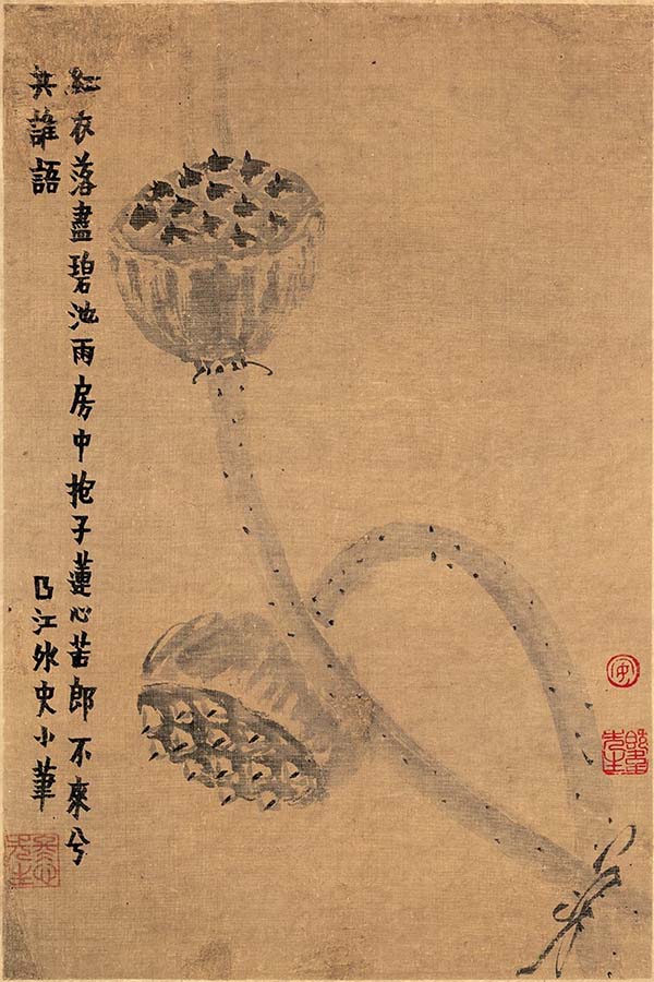 清 金农-书画图册-5 莲蓬 天津博物馆藏