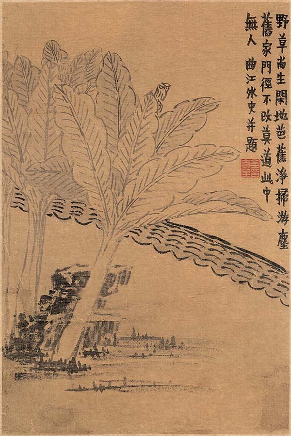 清 金农-书画图册-7芭蕉 天津博物馆藏