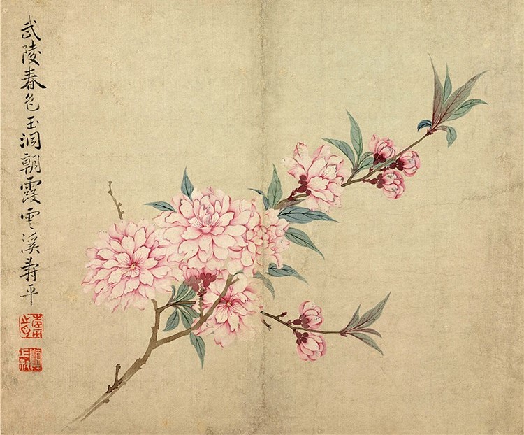 清 恽寿平 花卉册（纳尔逊美术馆藏）桃花