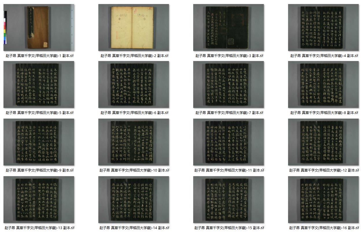 元 赵孟頫 真草千字文 早稻田大学藏