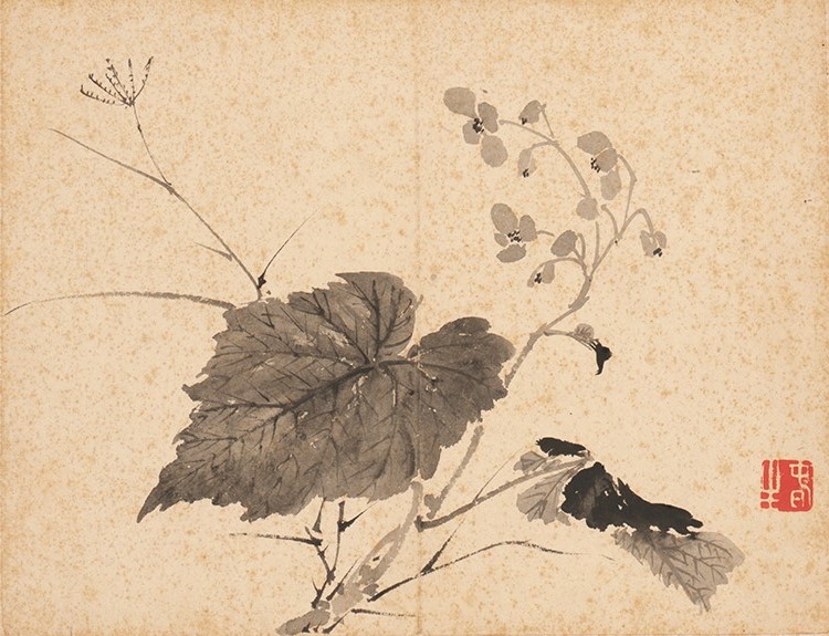 清 张雪鸿 花卉图册2花卉（旅顺博物馆）