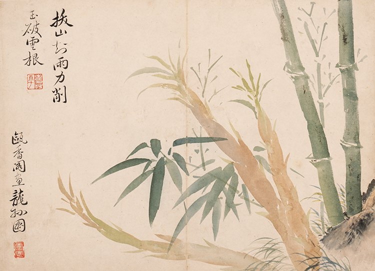 清 恽寿平 花果图4竹笋（旅顺博物馆）