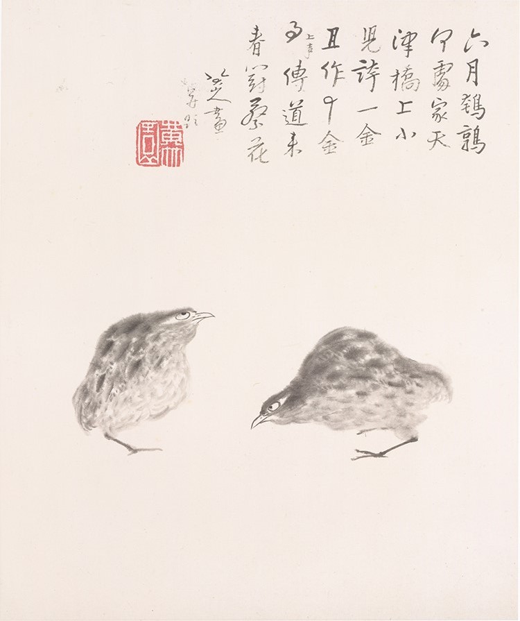 清 朱耷（八大山人） 花鸟山水册3 鹌鹑 高清图下载