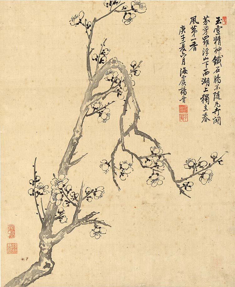 清 杨晋-花鸟十二开-12 梅花 高清图下载