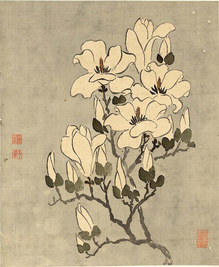 清 杨晋-花鸟十二开-4 玉兰 高清图下载