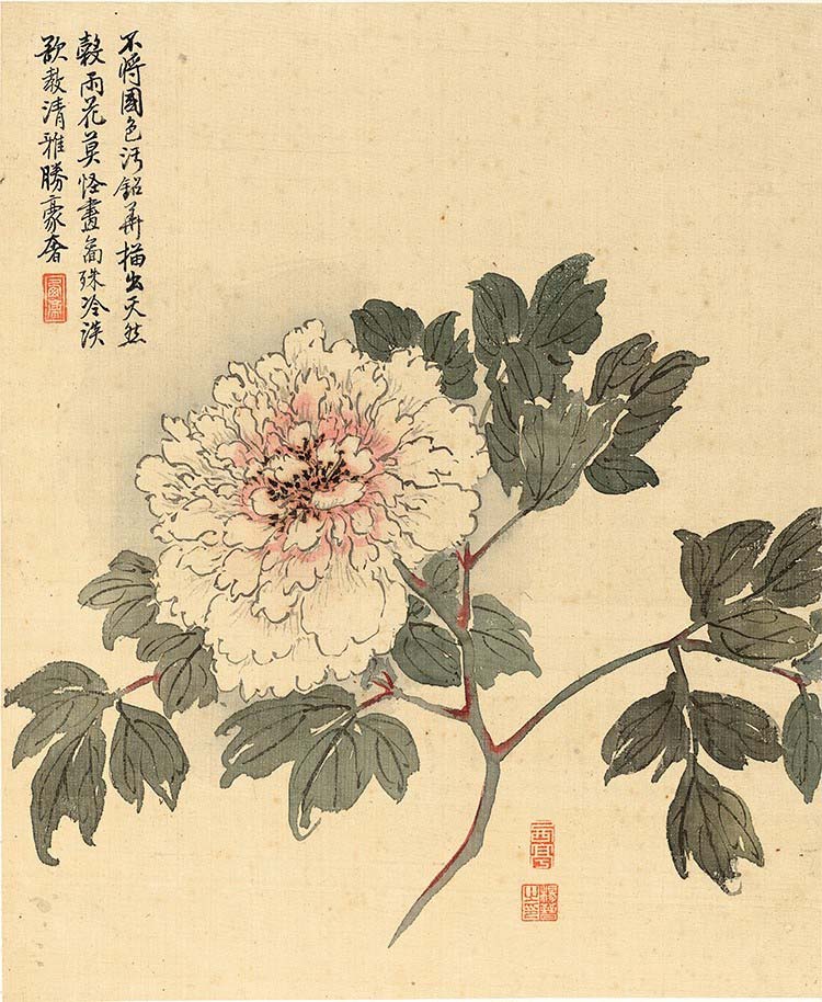 清 杨晋-花鸟十二开-5牡丹 高清图下载