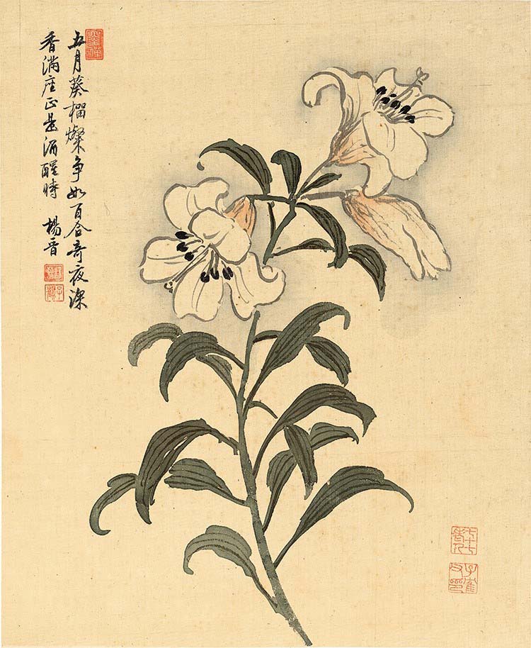 清 杨晋-花鸟十二开-6 花卉 高清图下载