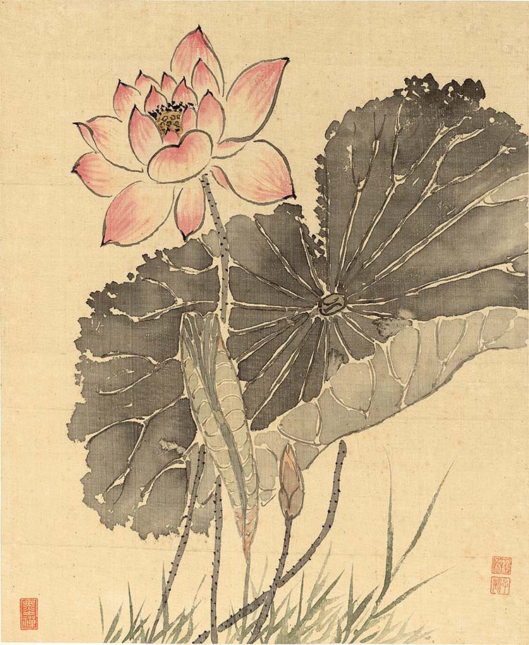 清 杨晋-花鸟十二开-7 荷花 高清图下载