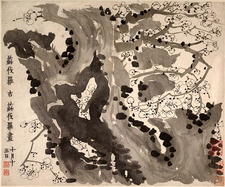 清代 金农 梅花图册 十一开06