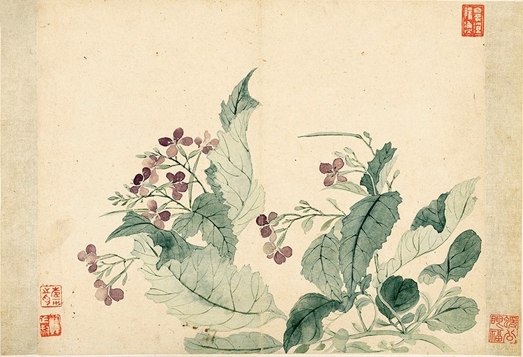 清 恽寿平 花卉图册十开-2