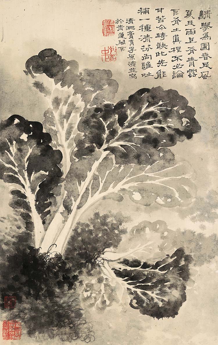 清 石涛 山水花卉八开-04白菜 高清图下载