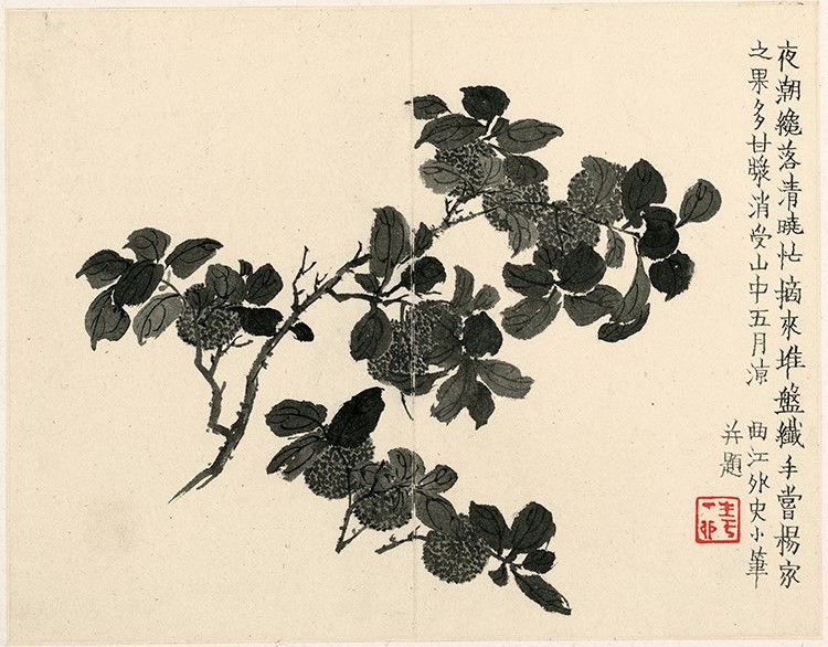 清 金农 杂画十二开 5 高清图免费下载