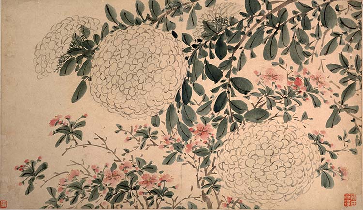 明 陈淳 花卉图02绣球花 国画高清图下载