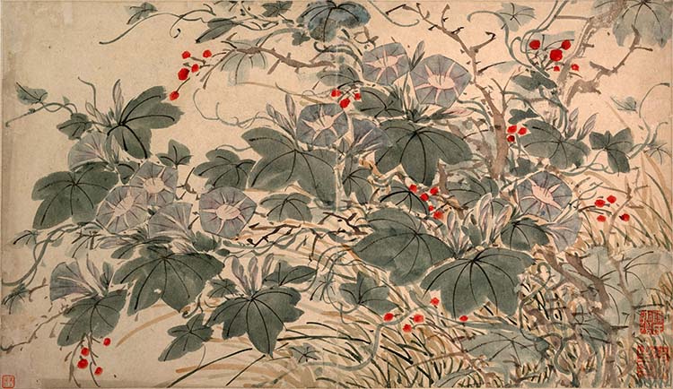 明 陈淳 花卉图05牵牛花 国画高清图下载