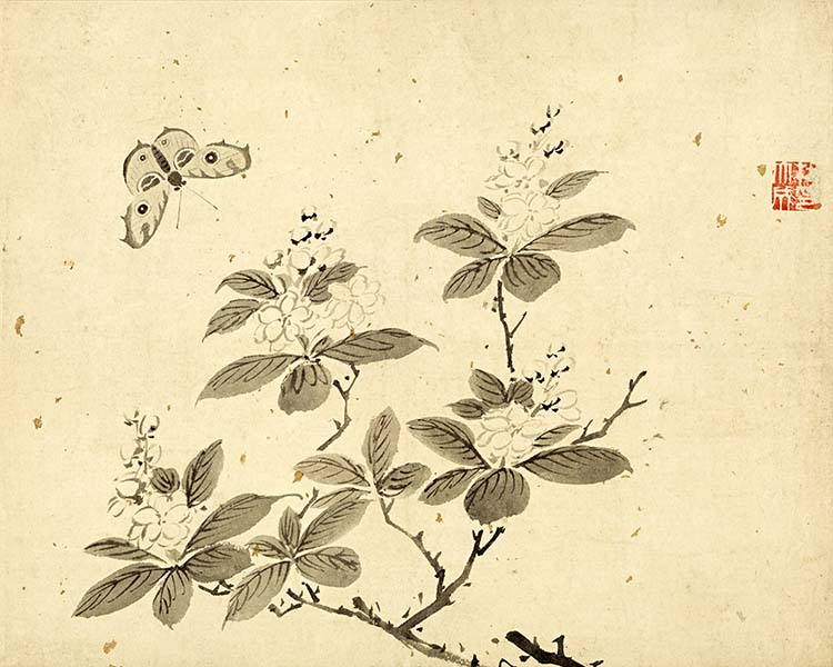 明 杜大成 花蝶草虫十开-03蝴蝶 高清图下载