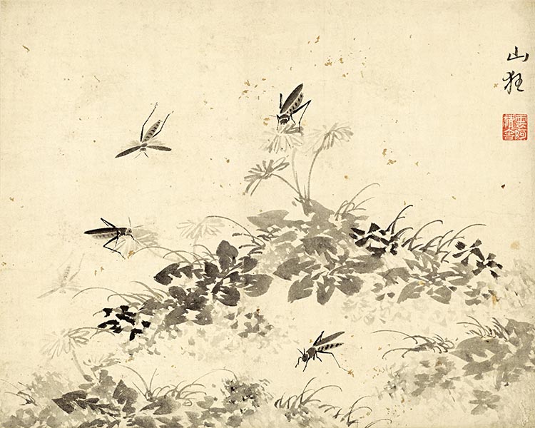 明 杜大成 花蝶草虫十开-07 高清图下载