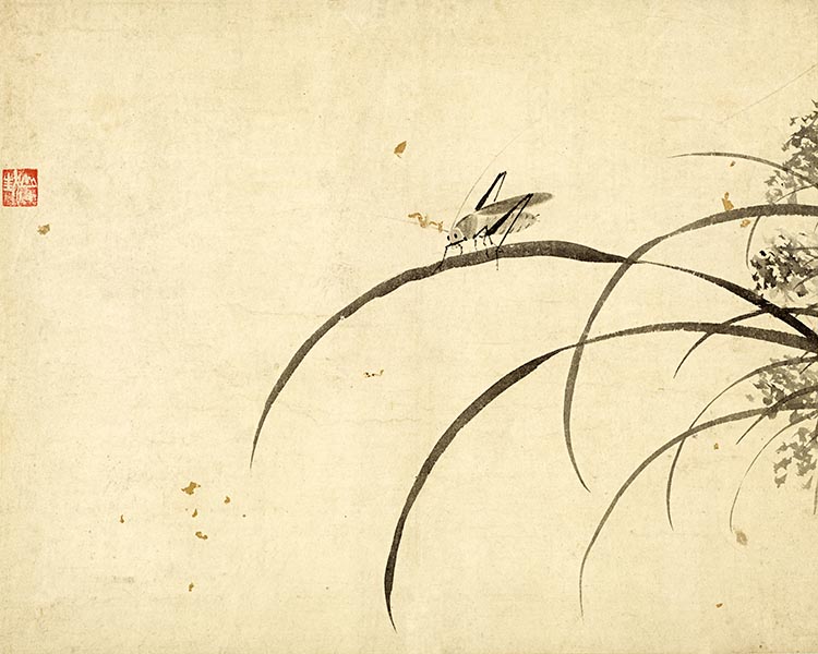 明 杜大成 花蝶草虫十开-09 高清图下载