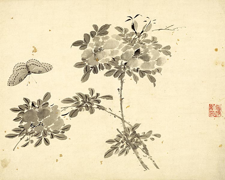 明 杜大成 花蝶草虫十开-10 高清图下载