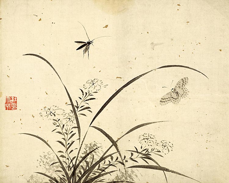 明 杜大成 花蝶草虫十开-13 高清图下载