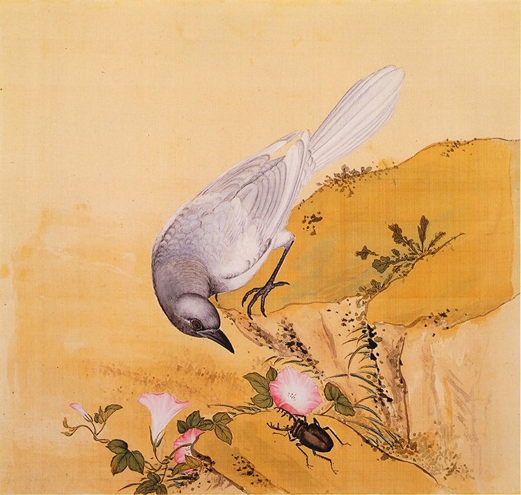 清 余省 临鸟谱12 牵牛花小鸟 国画花鸟画 高清图下载