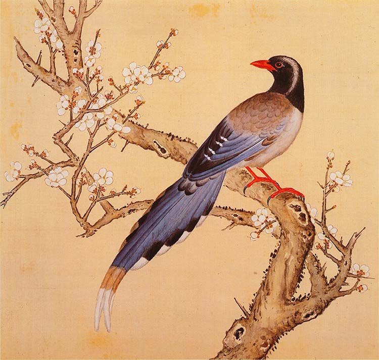 清 余省 临鸟谱13 梅花小鸟 国画花鸟画 高清图下载