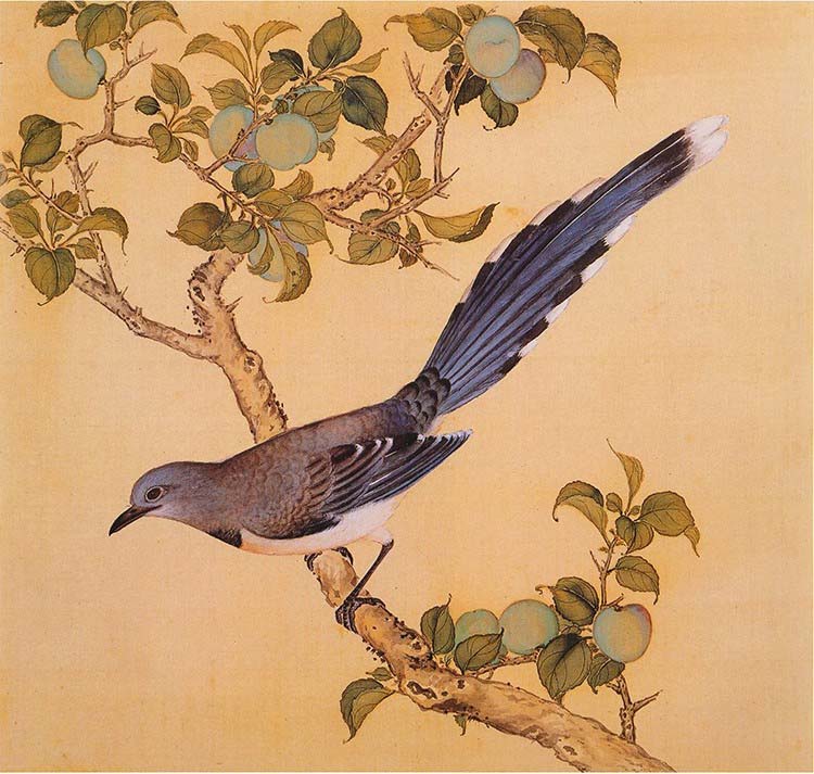 清 余省 临鸟谱14 果熟来禽 国画花鸟画 高清图下载