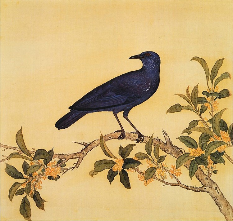 清 余省 临鸟谱16桂花小鸟 国画花鸟画 高清图下载