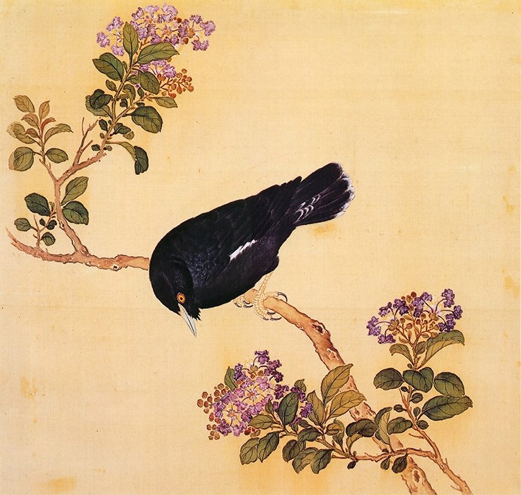 清 余省 临鸟谱17八哥 国画花鸟画 高清图下载