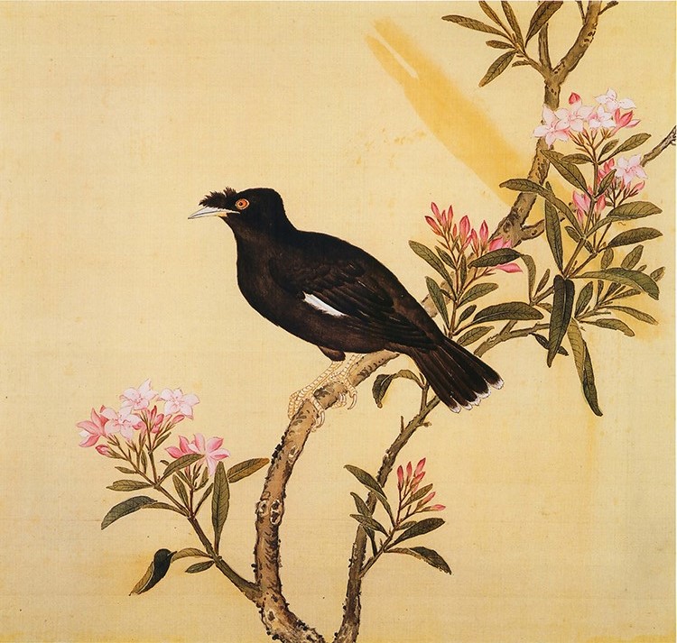 清 余省 临鸟谱18桃花八哥 国画花鸟画 高清图下载