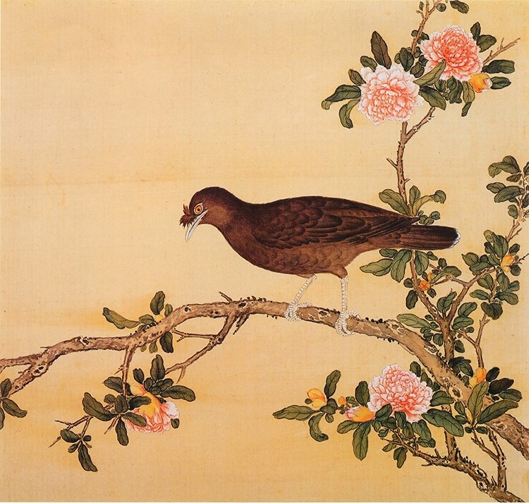 清 余省 临鸟谱19牡丹小鸟 国画花鸟画 高清图下载