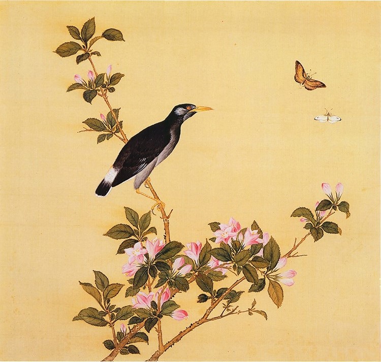 清 余省 临鸟谱22 国画花鸟画 高清图下载