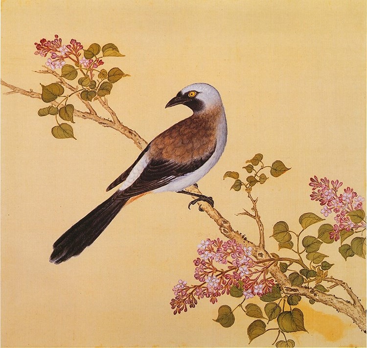 清 余省 临鸟谱23 国画花鸟画 高清图下载