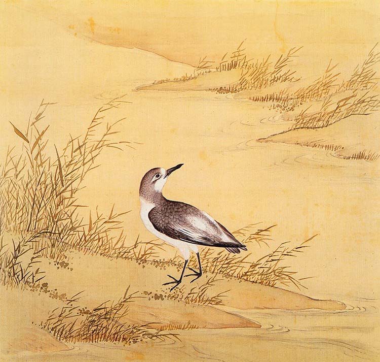 清 余省 临鸟谱24 国画花鸟画 高清图下载