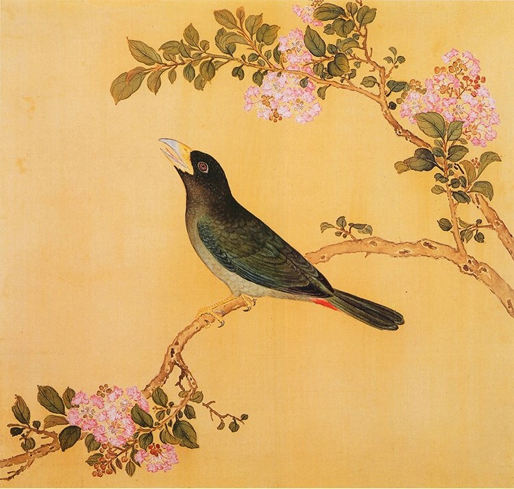 清 余省 临鸟谱25 国画花鸟画 高清图下载