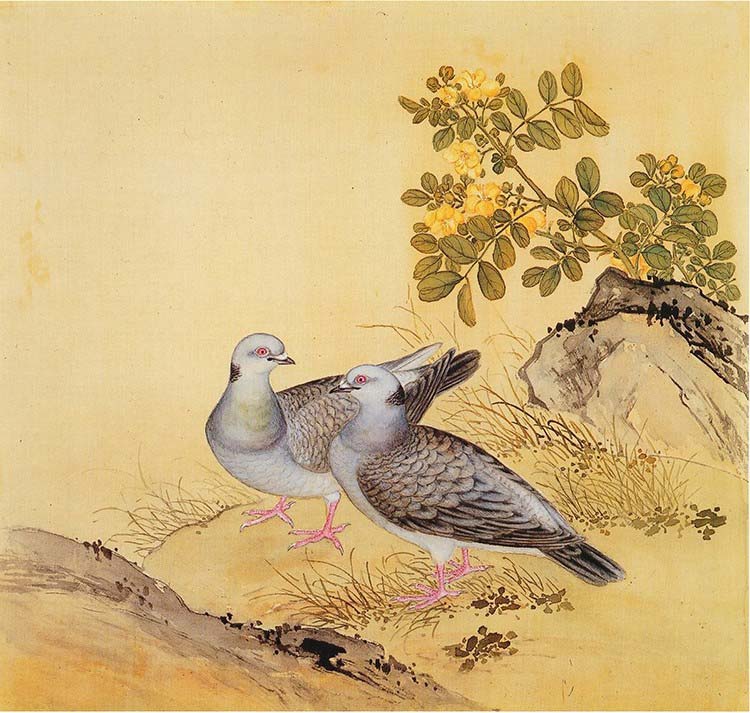 清 余省 临鸟谱28 国画花鸟画 高清图下载