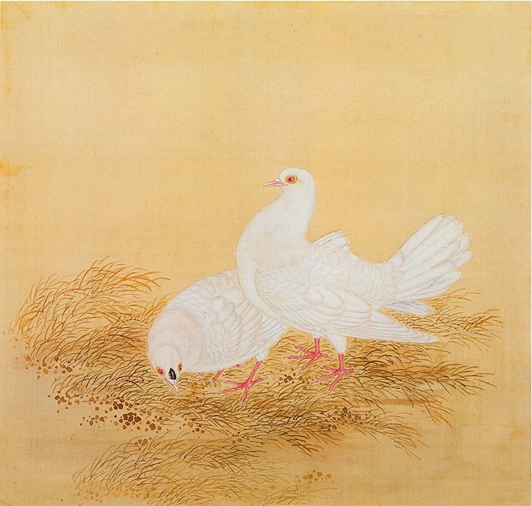 清 余省 临鸟谱29 白色鸽子国画花鸟画 高清图下载