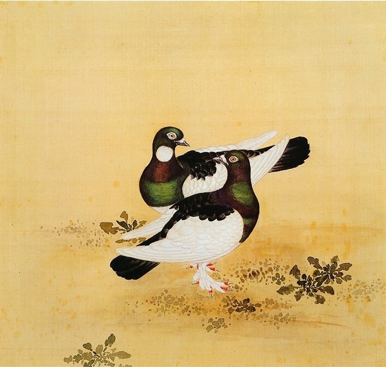 清 余省 临鸟谱30鸽子 国画花鸟画 高清图下载