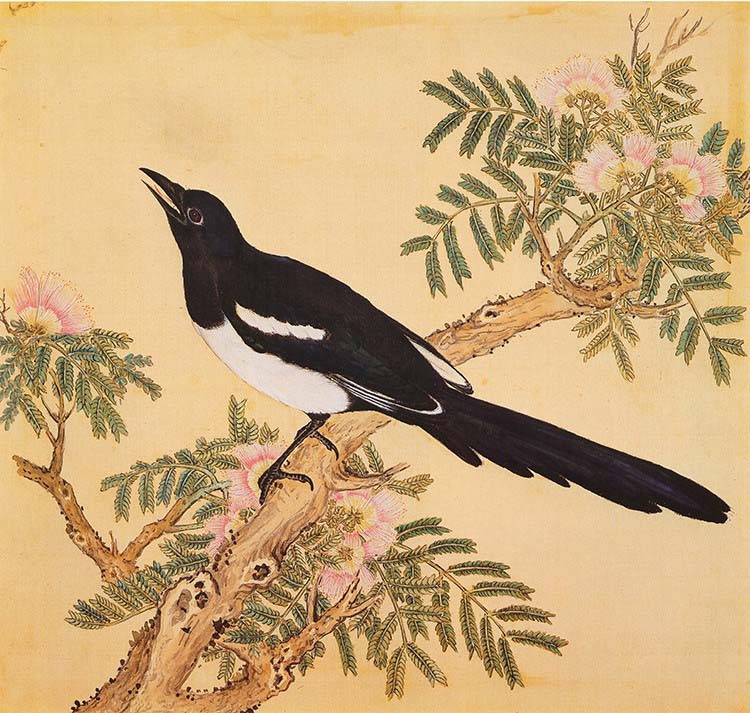 清 余省 临鸟谱09 喜鹊 国画花鸟画 高清图下载